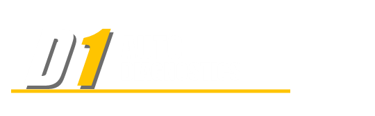 D1 Auto Diagnostics